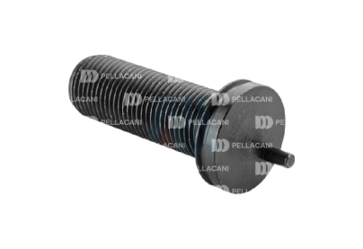 Tornillo solo reg nucleo PAN 17