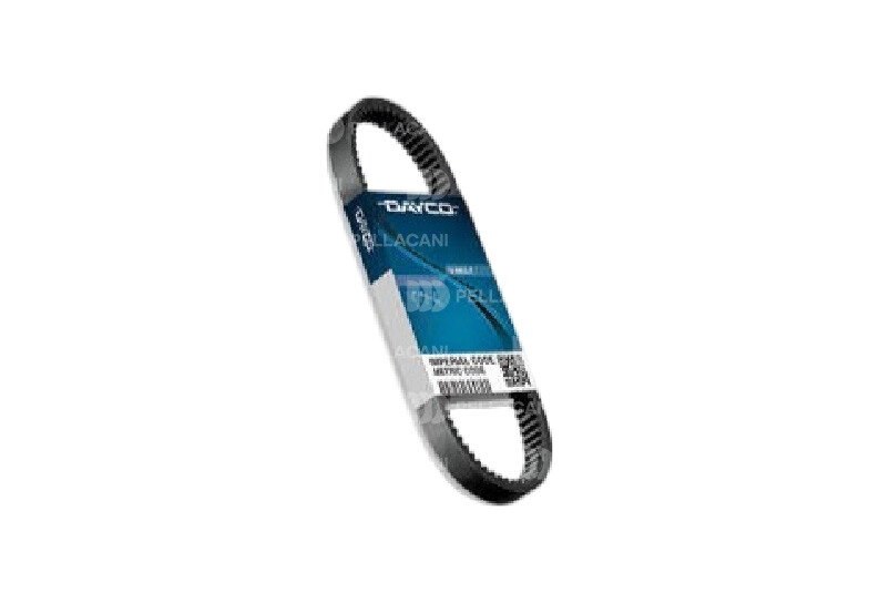 Correa Trapezoidal 13A0925C