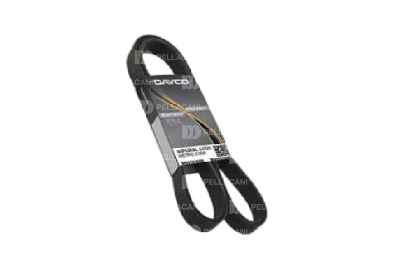 Correa Poly-V 10PK2475HD