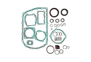 Juego reparacion caja ZF S5-680 CP