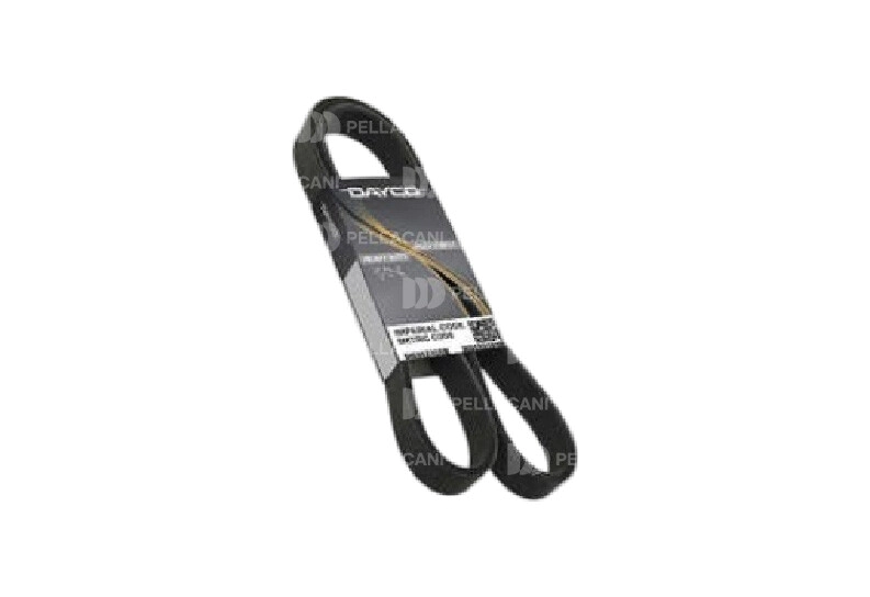 Correa Poly-V 10PK1450