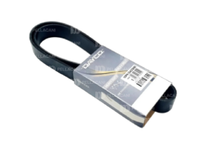 Correa Poly-V 10PK1342SHD