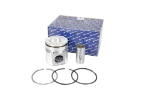 Conjunto Motor 0,5 Cummins 6BT