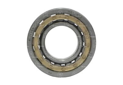 Rodamiento Rodillos NJ206 Rollway Csta. Bronc