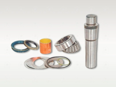 Jgo. perno punta eje Scania S4 c/cojinete Kz