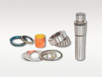 Jgo. perno punta eje Scania S4 c/cojinete Kz