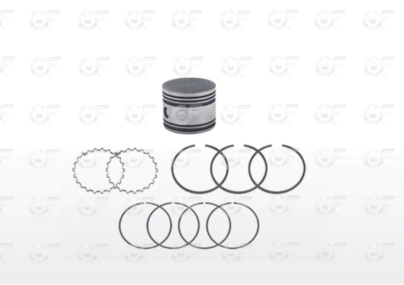 Sub conjunto pistón Ø70.64  +0.20  Tu Flo 550
