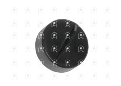 Tapa deposito limpiaparabrisas Scania