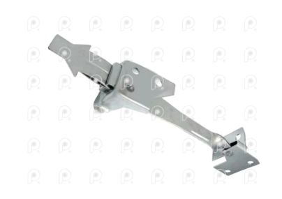 Limitador puerta Der Ford Cargo 1722