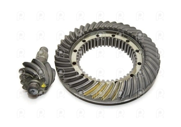 Corona y pi�on 41/10 MS240/245 CP