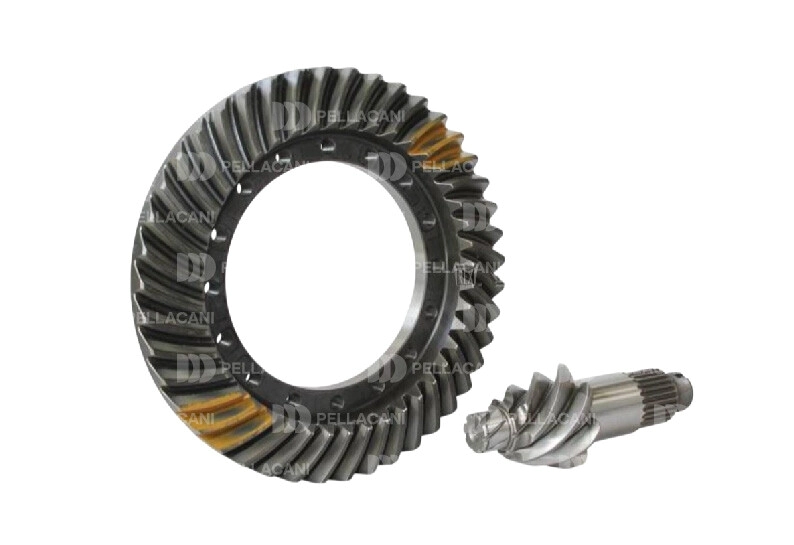 Corona y Pi��n 43/7 HL4 Alta14mm