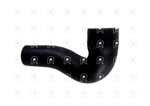Manguera radiador Iveco Cavallino Cursor