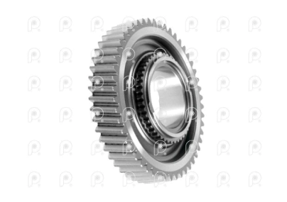 Engranaje 1º Z=50 MB G60 85 CP