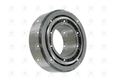Rodamiento eje inferior caja GRS900 GR801 TMK