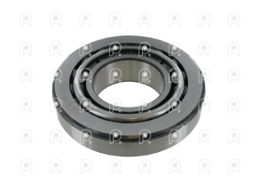 Rodamiento diferencial R660 Scania SKF