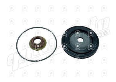 Kit Rep. cilindro AB con pistón Zf 9S1110T QN