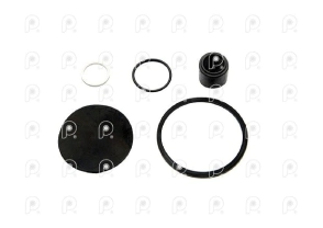 Kit rep válvula descarga rap Ford VW QN