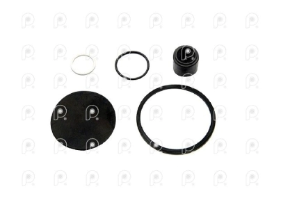 Kit rep válvula descarga rap Ford VW QN
