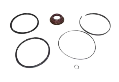 Kit reparación cilindro A B ZF 16S1650 1300 QN