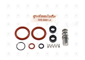 Kit Rep. válvula solenoide ASR Ford nuevos QN
