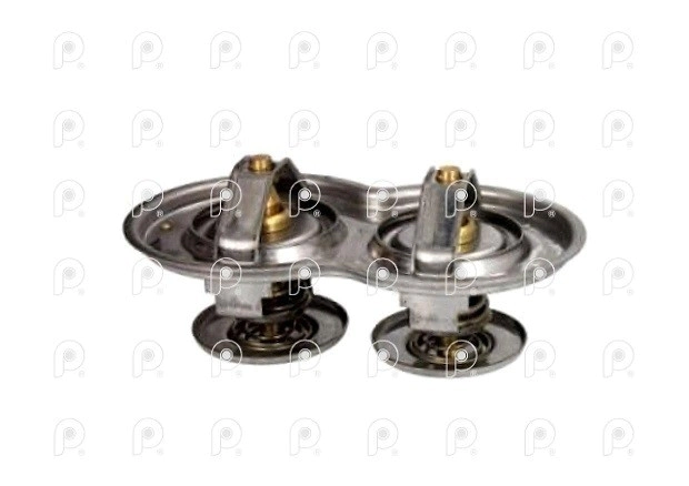 Termostato Scania P94 114 124 80°C Grande