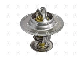 Termostato MWM 6.10 VW 17210 80°C