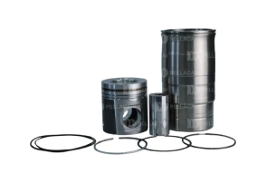 Conjunto motor Scania DSC11 114 Ks
