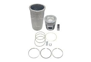 Conjunto de motor Scania 113 eco Ks