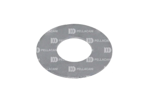 Arandela grande lleva 10 ZF 16S1650