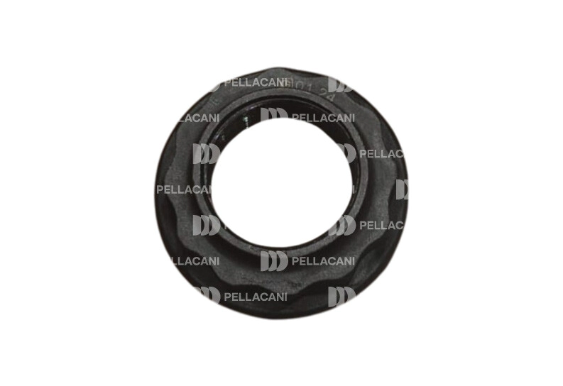 Tuerca eje principal caja G210 240 Kz