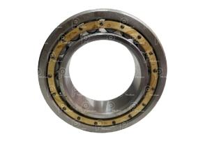 Rodamiento caja de cambios 16S1650 Zf