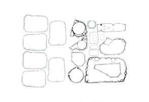 Juego de juntas caja ZF 16S221 Kz