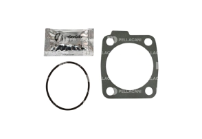 Jgo rep caja Eaton Ford 1730 1832 Qn