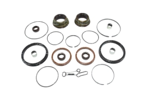 Juego rep selectora cambio As-tronic Iveco