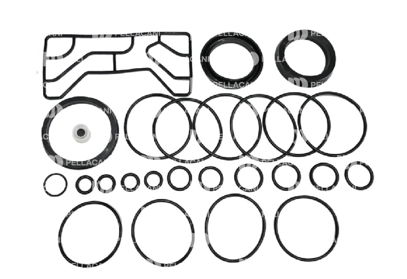 Kit rep válvula seguridad acoplados Qn