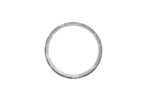 Anillo de seguridad 16S1650 ZF