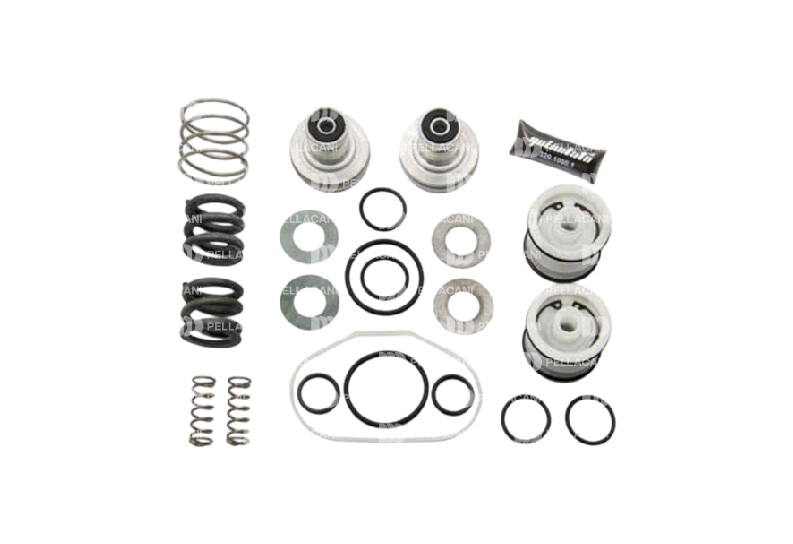 Kit de reparación válvula pedalera Volvo Rena Qn
