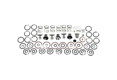 Kit Rep V&aacute;lvula Suspensi&oacute;n Ecas Qn