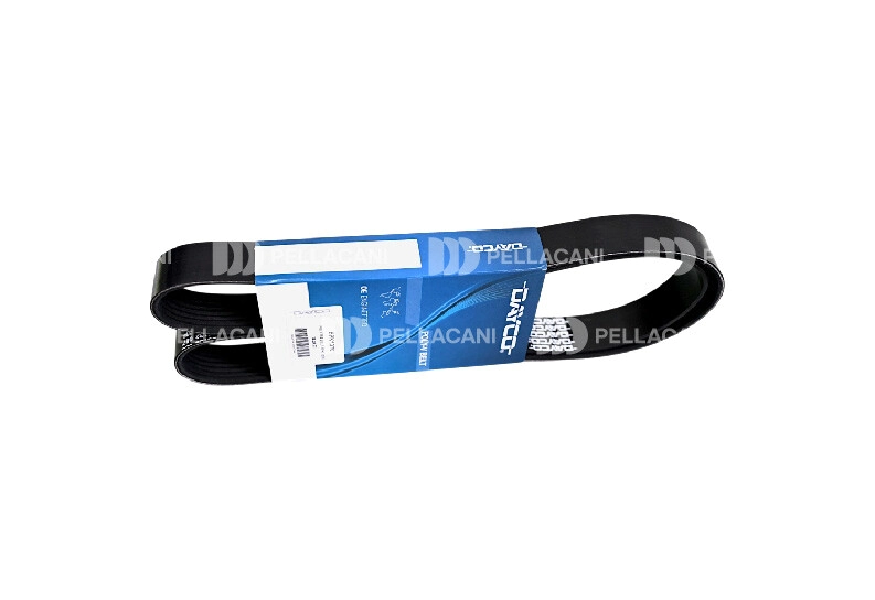 Correa Poly-V 8PK1370 - Pellacani Store