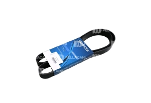 Correa Poly-V 8PK1550 - Pellacani Store