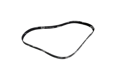 Correa Poly-V 8PK1550 - Pellacani Store