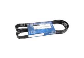 Correa Poly-V 8PK1385 - Pellacani Store