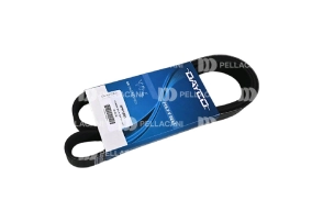 Correa Poly-V 8PK1685 - Pellacani Store