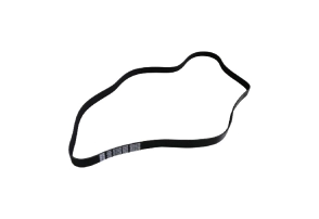 Correa Poly-V 8PK1625 - Pellacani Store