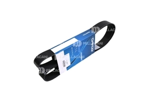 Correa Poly-V 8PK2205 - Pellacani Store