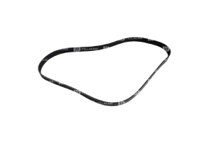 Correa Poly-V 8PK1615 - Pellacani Store