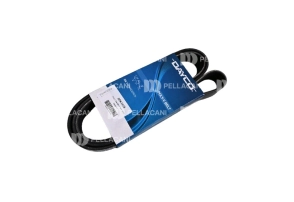 Correa Poly-V 8PK1615 - Pellacani Store