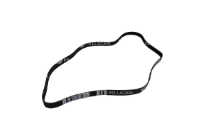 Correa Poly-V 8PK1800 - Pellacani Store