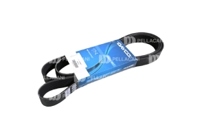 Correa Poly-V 8PK1800 - Pellacani Store