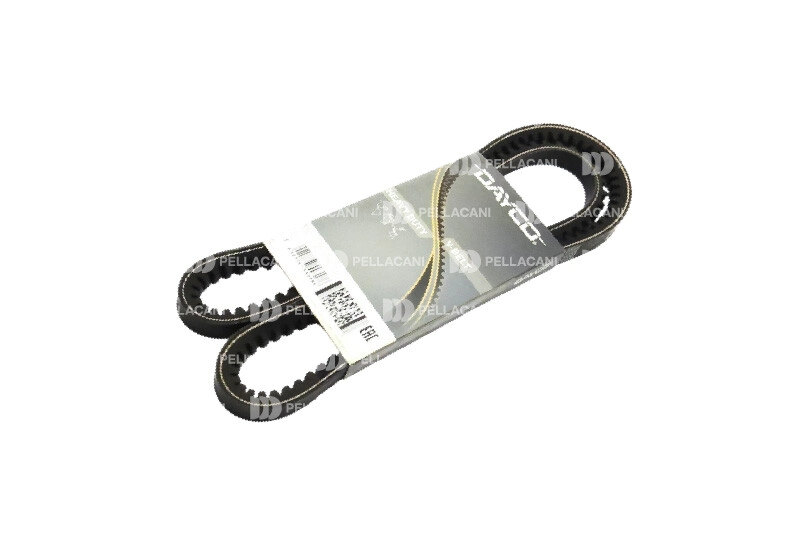 Correa Trapezoidal 13A1575HD - Pellacani Store